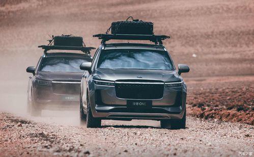 理想汽车裁人爆料最新,揭秘行业寒冬下的企业生存困境”